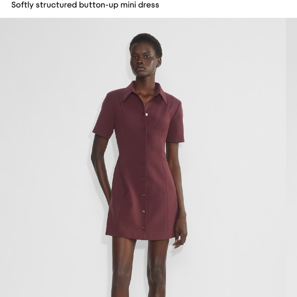 Aritzia Burgundy Button-Up Mini Dress